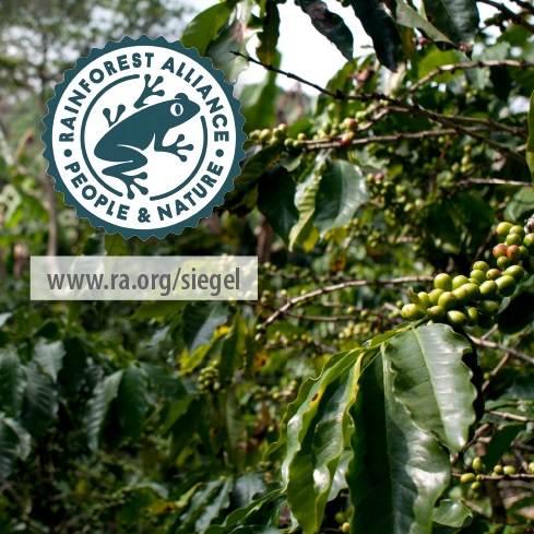 Rainforest Certified Kaffees